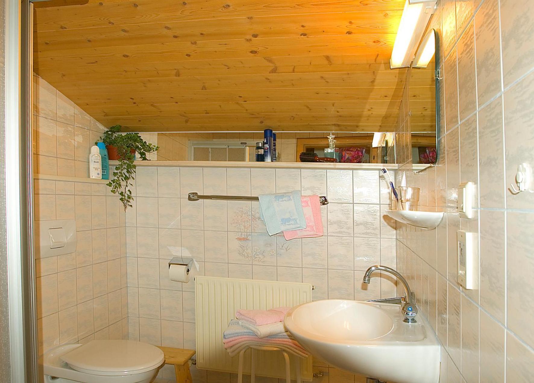 Kinder-Bauernhof Ederbauer Flachau Extérieur photo